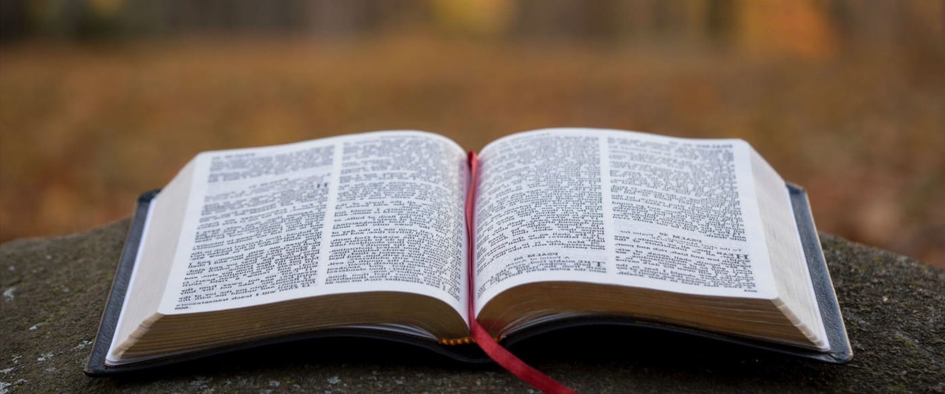 Understanding the Canonization Process: Uncovering the Origins of the Bible