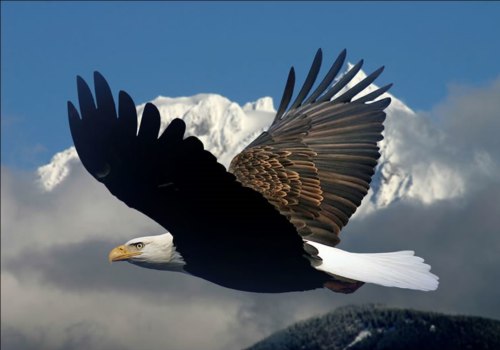 Understanding Isaiah 40:31 - How to Renew Your Strength in the Lord