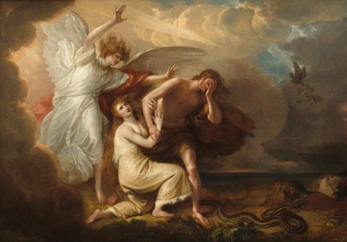 Understanding the Creation and Fall of Man in the Bible